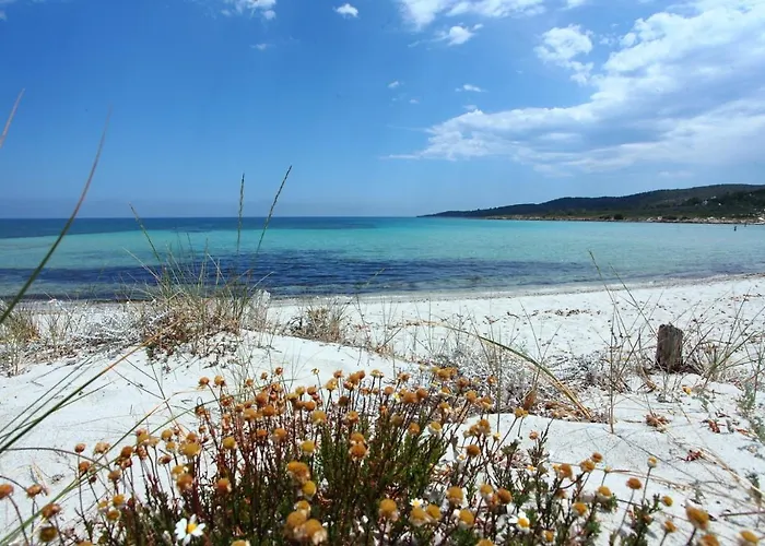 Maestrale Bflat - Klodge * Olbia